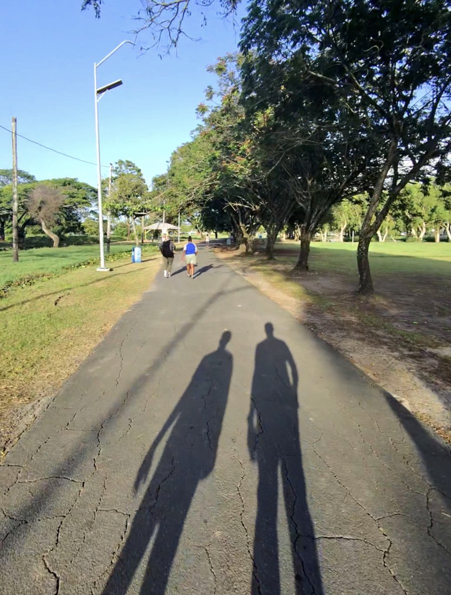From a Morning Walk to a Treatise: A Father's Day with My Son and AI